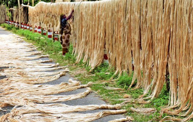 孟加拉国:工人驾三轮车运黄麻棒,货物高耸形成"遮阳棚"!