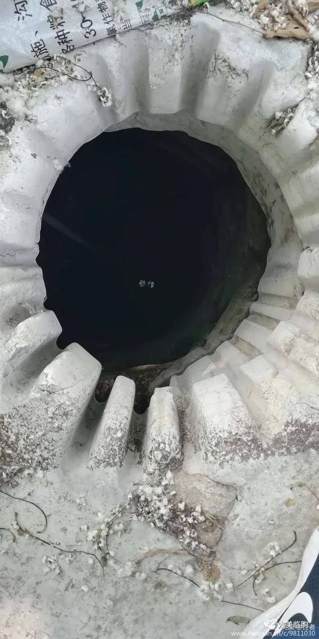 临朐井头有口双眼古井