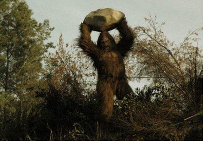 旅行者称在美国目击到"大脚怪",或是人类近亲,来看看长啥样