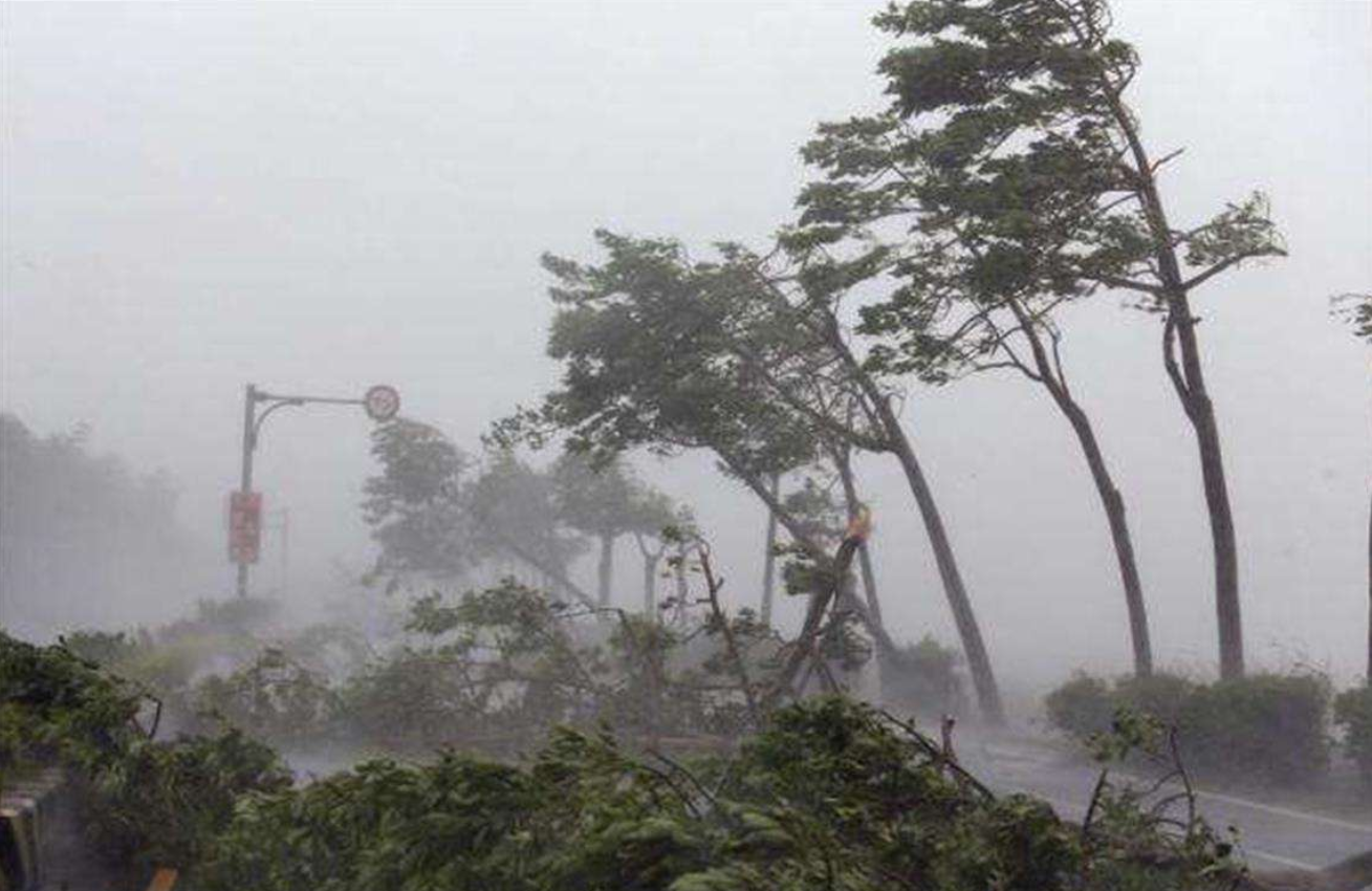 2020年有大风暴?夏季或还有10个台风,预计最多5个登陆我国