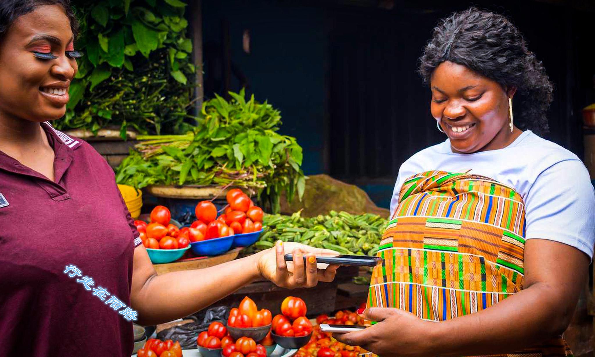 美属萨摩亚:经济倒退已啃老十年,岛民平均体重达87公斤