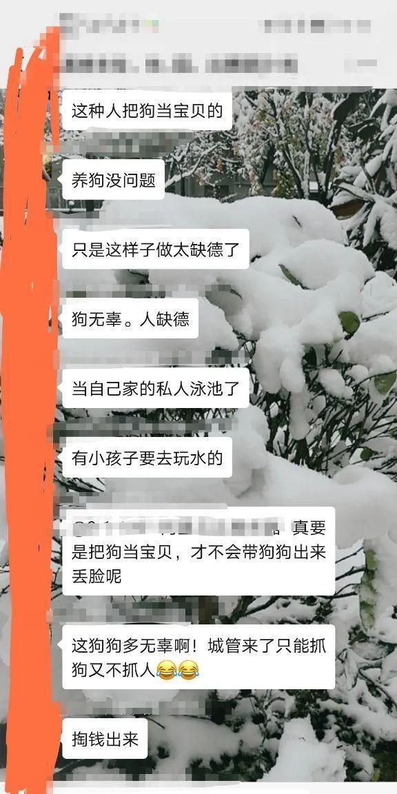 该女士所在小区的业主群炸锅了   从贴出的业主群聊天记录来看