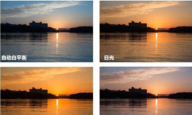 夕阳这么拍,真的很好看|夕阳|测光|白平衡_新浪新闻