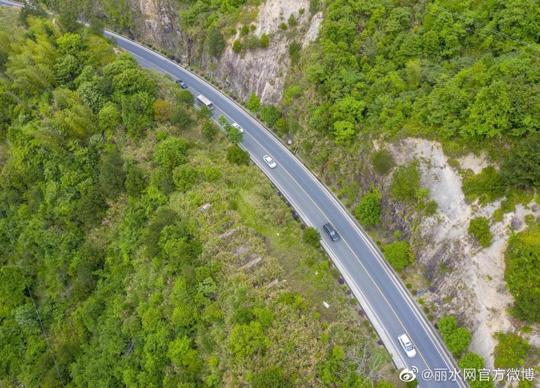 沿着g235国道出发,景宁有个"多肉王国",美爆啦!