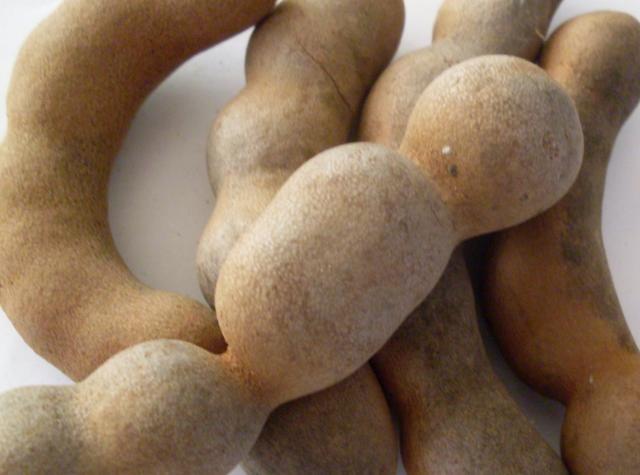 美食界昂贵的食材,比钻石贵不算啥,咱中国这一种想吃要等数十年|酸角