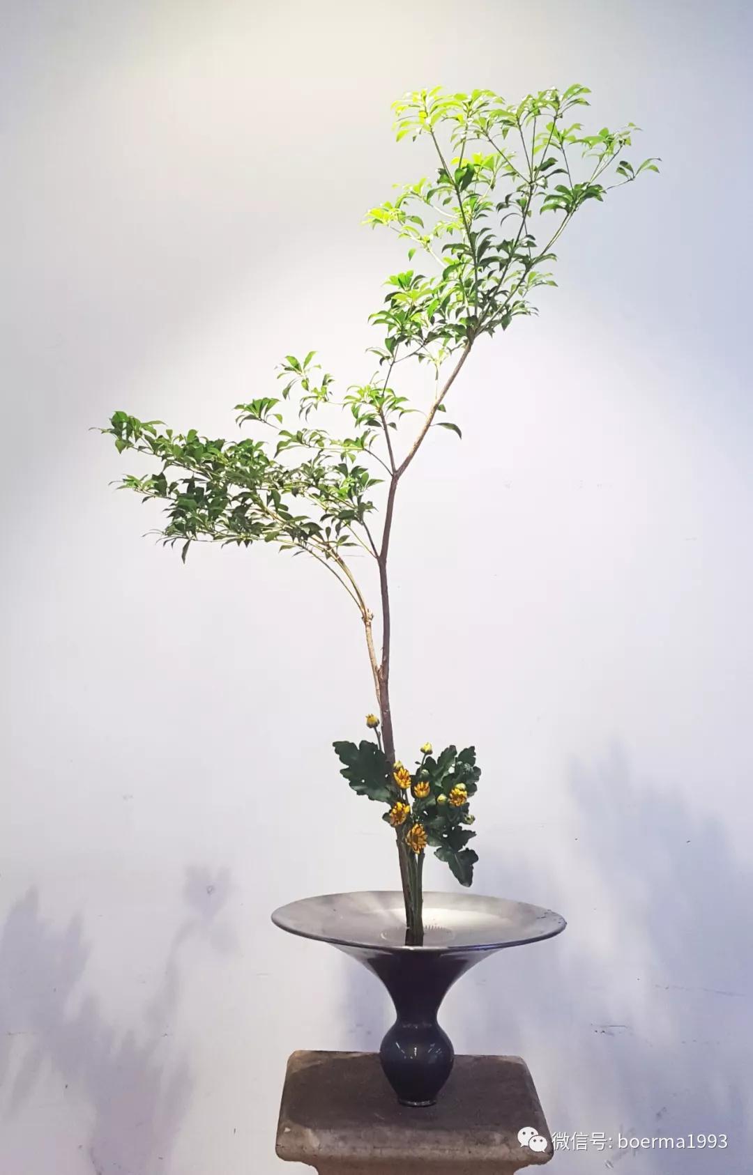 生け花|人与自然的日式花道