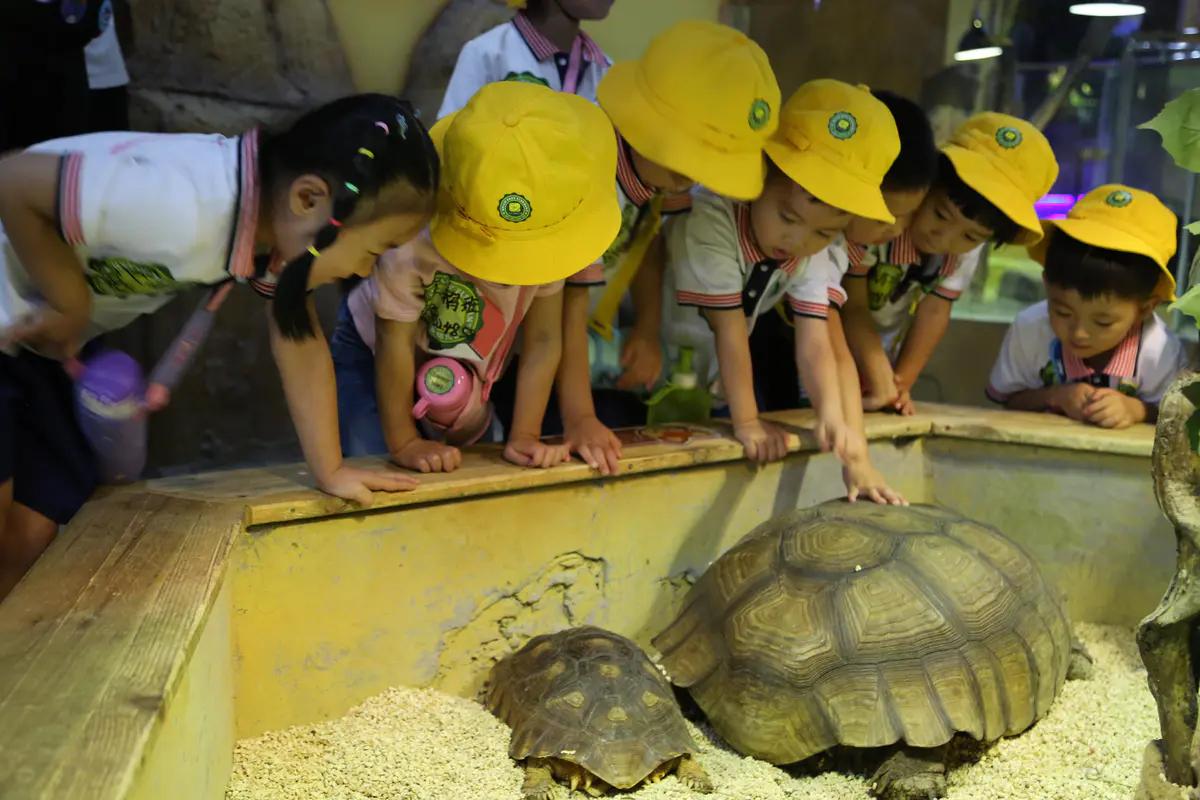 寓教于乐郑州未来动物城上演现实版土拨鼠哪去了