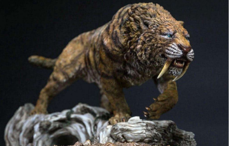 强大的剑齿虎都被淘汰了为什么熊猫却可以生存至今