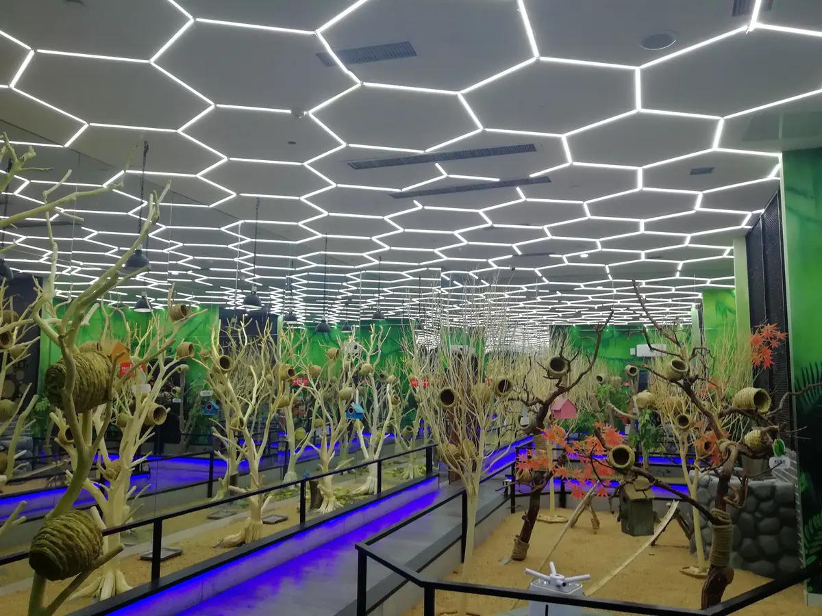 寓教于乐郑州未来动物城上演现实版土拨鼠哪去了