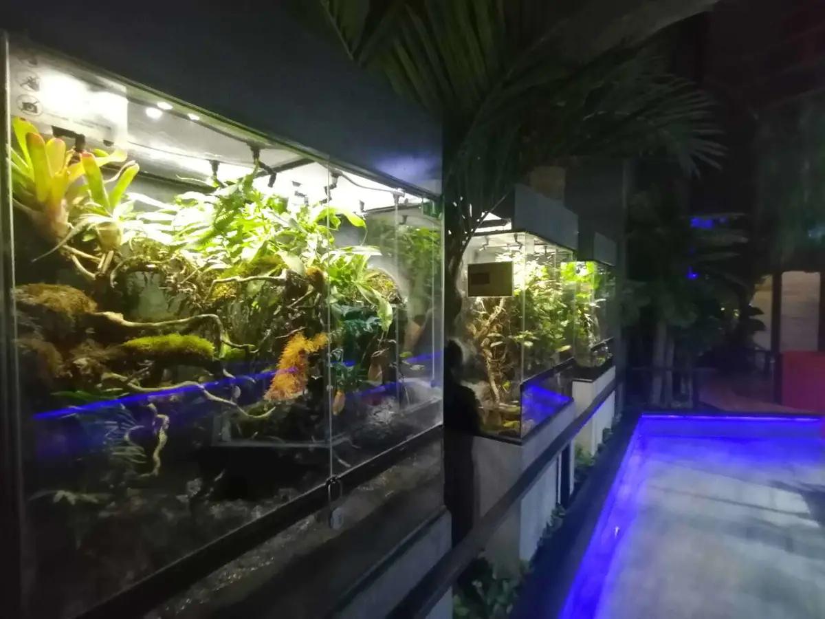 寓教于乐郑州未来动物城上演现实版土拨鼠哪去了