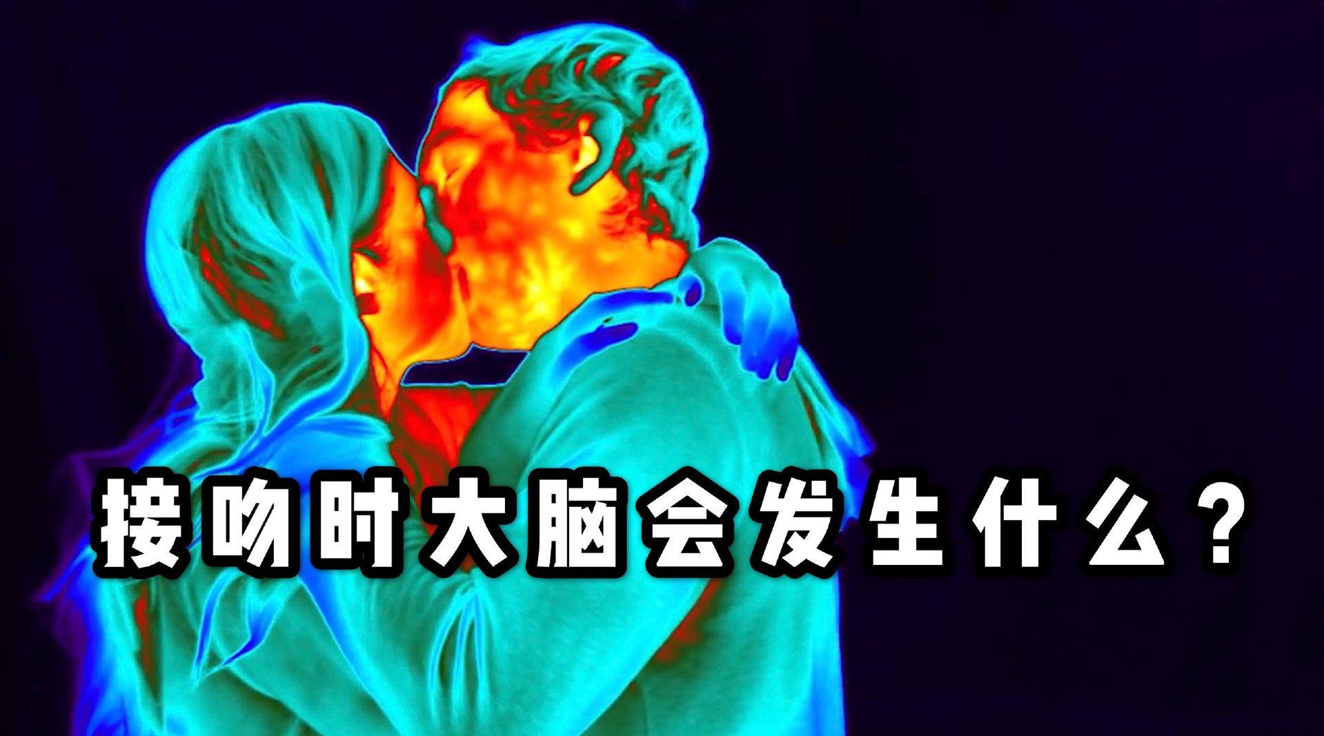 喵的科普：接吻时大脑会发生什么变化？