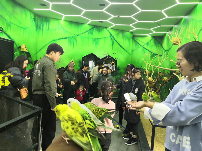 寓教于乐郑州未来动物城上演现实版土拨鼠哪去了