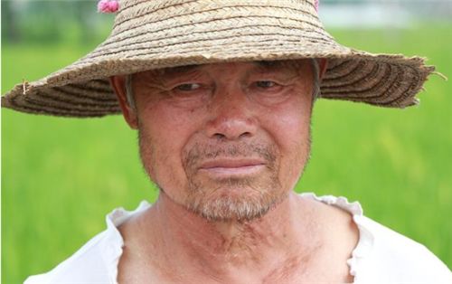 北大博士王福重谈农民:"一身蛮力,对国家没用",他为何说这话