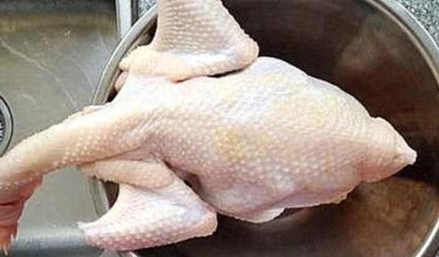 买了只染色鸡,以为活不过一个月,结果养了一年后,成功上桌