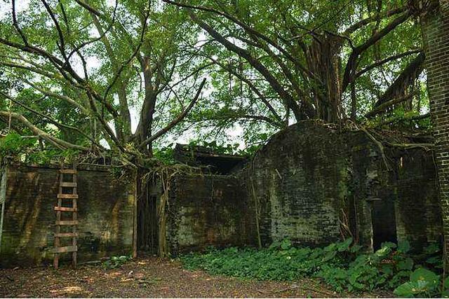 广东荒凉无人村环境阴森恐怖6点前游客必须离开