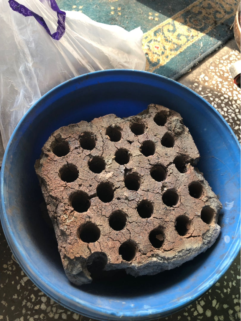 烧的蜂窝煤也是养花的好东西,蜂窝煤烧过之后,剩下的那些煤渣收集一下