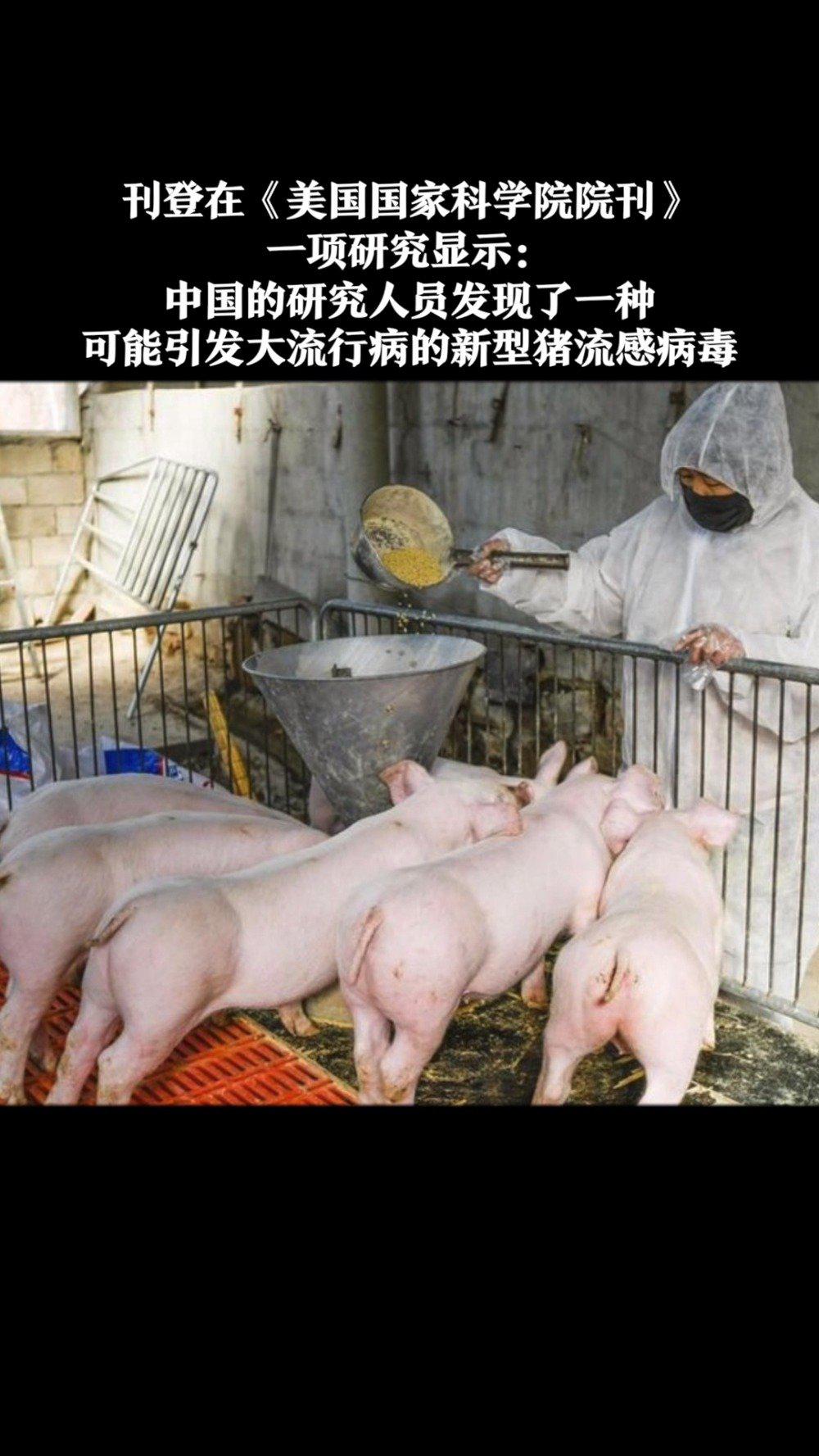 00:08 中国科学家发现新型猪流感病毒,专家:有大流行潜质,已有人感染
