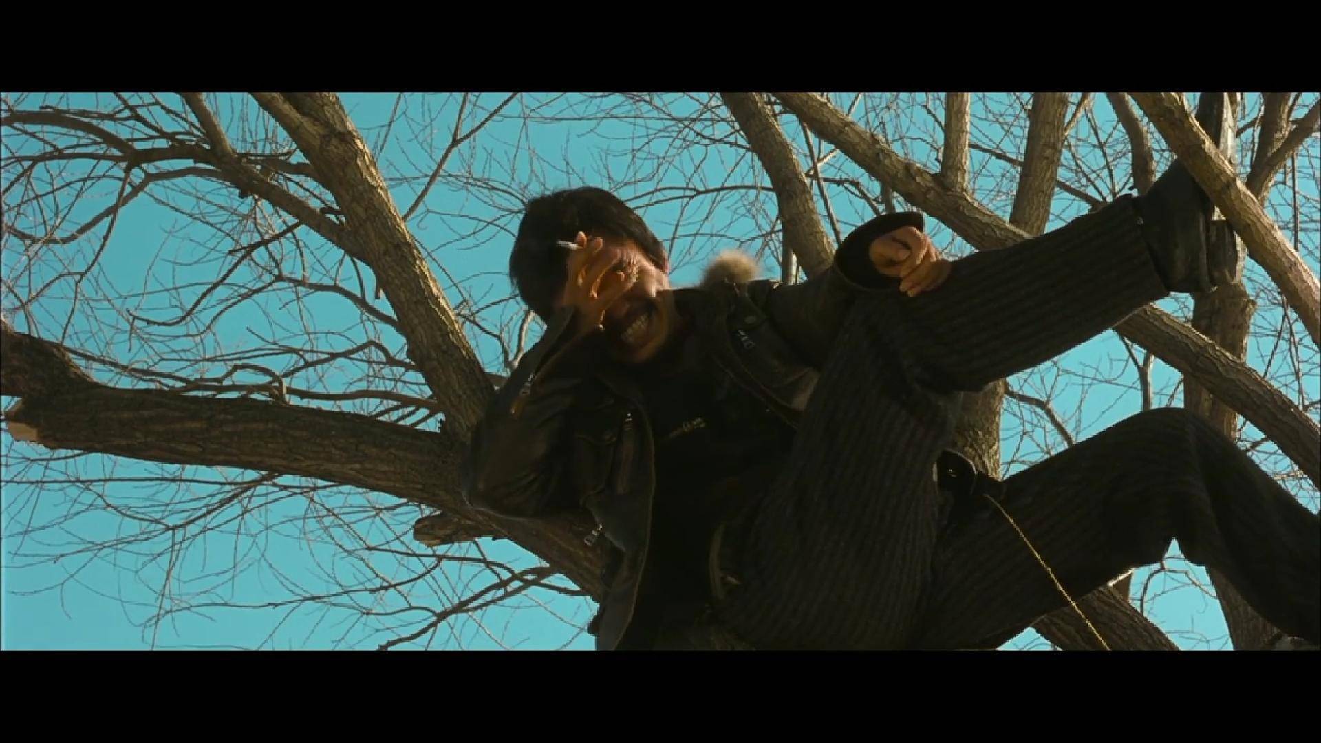 让别人决定你的命运,那不可悲吗?——《hello! 树先生》