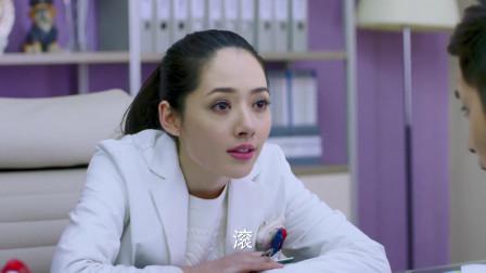 神犬小七二:玛丽怕郝心晴躲到欧叶家,郝心晴误会欧叶拐走玛丽