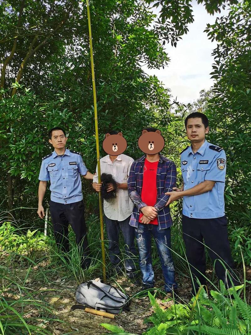 丰顺丨两名男子上山打鸟被刑拘羊城派 2020-06-30 19:47:00 接报后