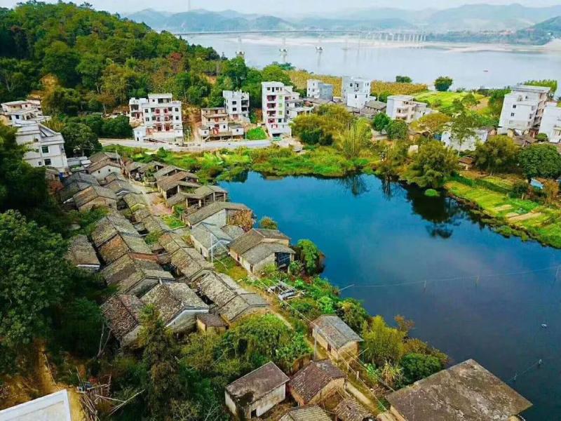在中山的帮扶下,肇庆封开县平凤镇蟠龙村新农村建成.