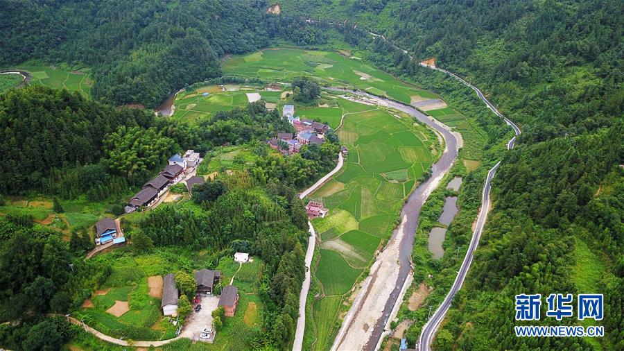 6月29日拍摄的台沙村(无人机照片).