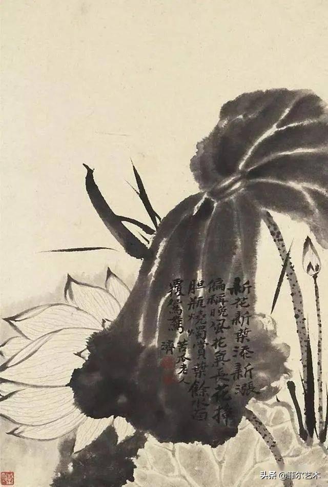 「国画欣赏」赏石涛泼墨荷花,真过瘾
