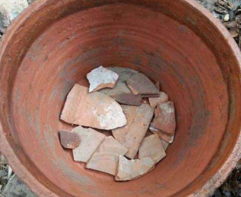 家里花草开花少,春天给它们换换土,长势旺盛,开花更美艳