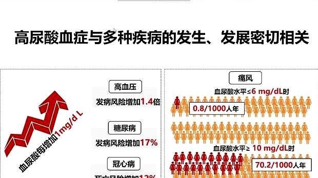 尿酸高危害大,可不仅会导致痛风发作,如何才能更好排出尿酸呢