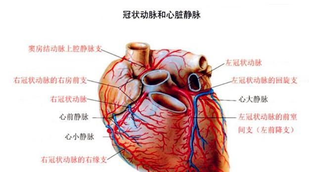 除血管狭窄,冠脉慢血流也会引发心绞痛