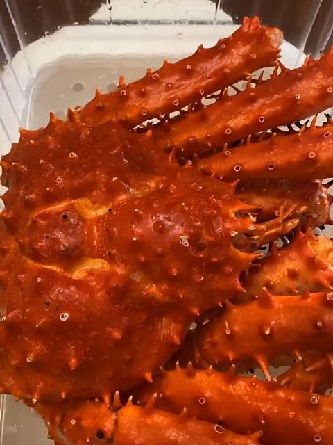 海鲜吃播 蜜食记 今天龙虾帝王蟹