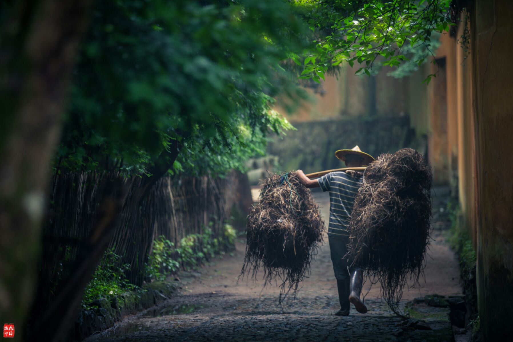 最朴素的千年古寺:僧人自己种菜生活简朴,门票免费斋菜只要2元