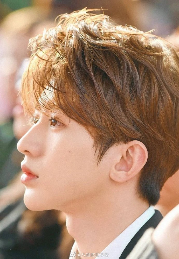 蔡徐坤朱一龙王源王一博陈伟霆任嘉伦哪个男明星的侧颜杀秒到了你