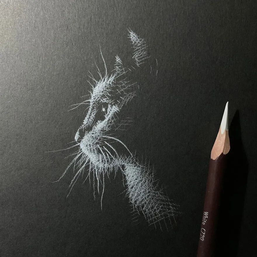 在黑卡纸上,寥寥几笔白色痕迹,作品效果让人拍案叫绝