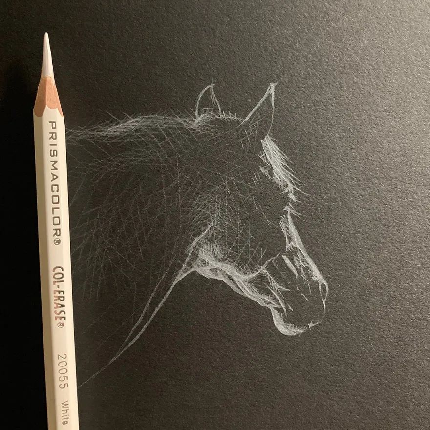 在黑卡纸上,寥寥几笔白色痕迹,作品效果让人拍案叫绝