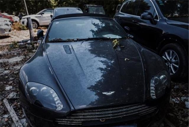 又有"僵尸车"扎堆,千万豪车烂在地里,网友:给我一辆开开呗