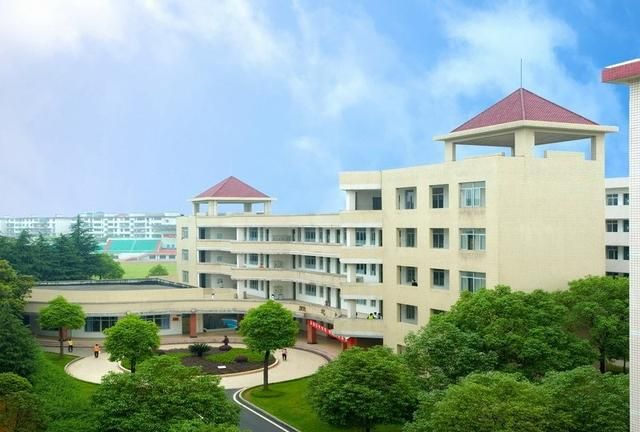 中学|衡阳市|衡阳_新浪新闻