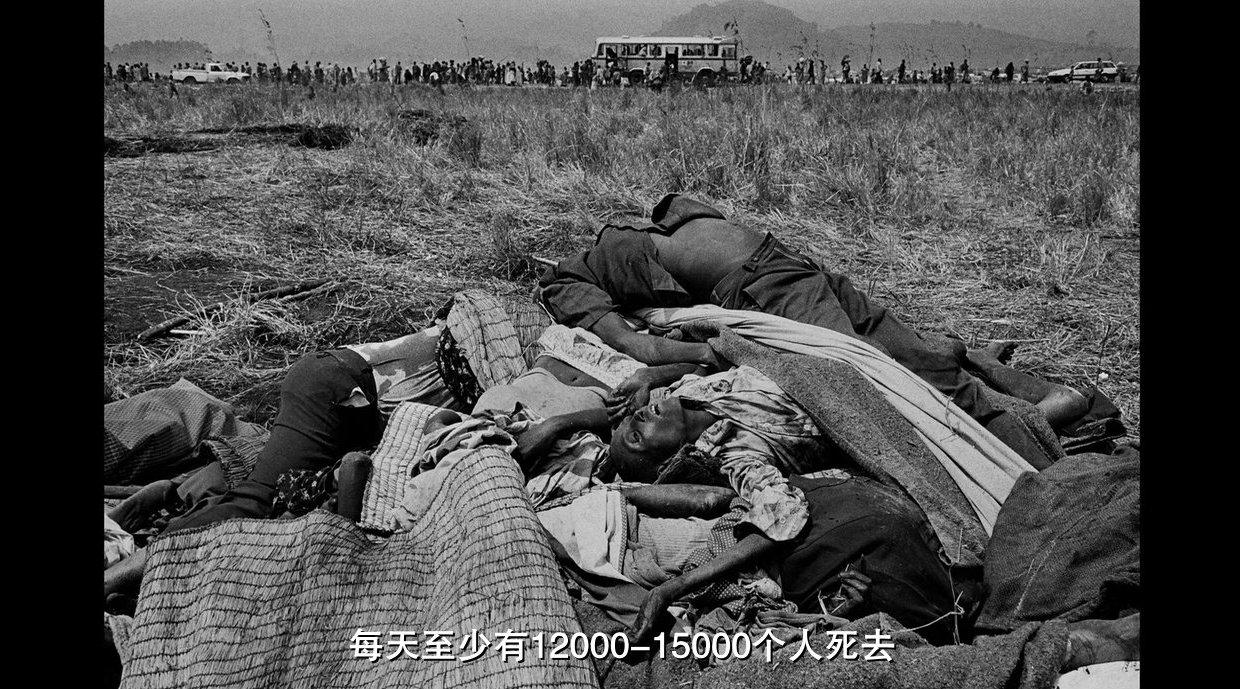 《地球之盐》,豆瓣9.3分的震撼纪录片.诚意之作,触目惊心