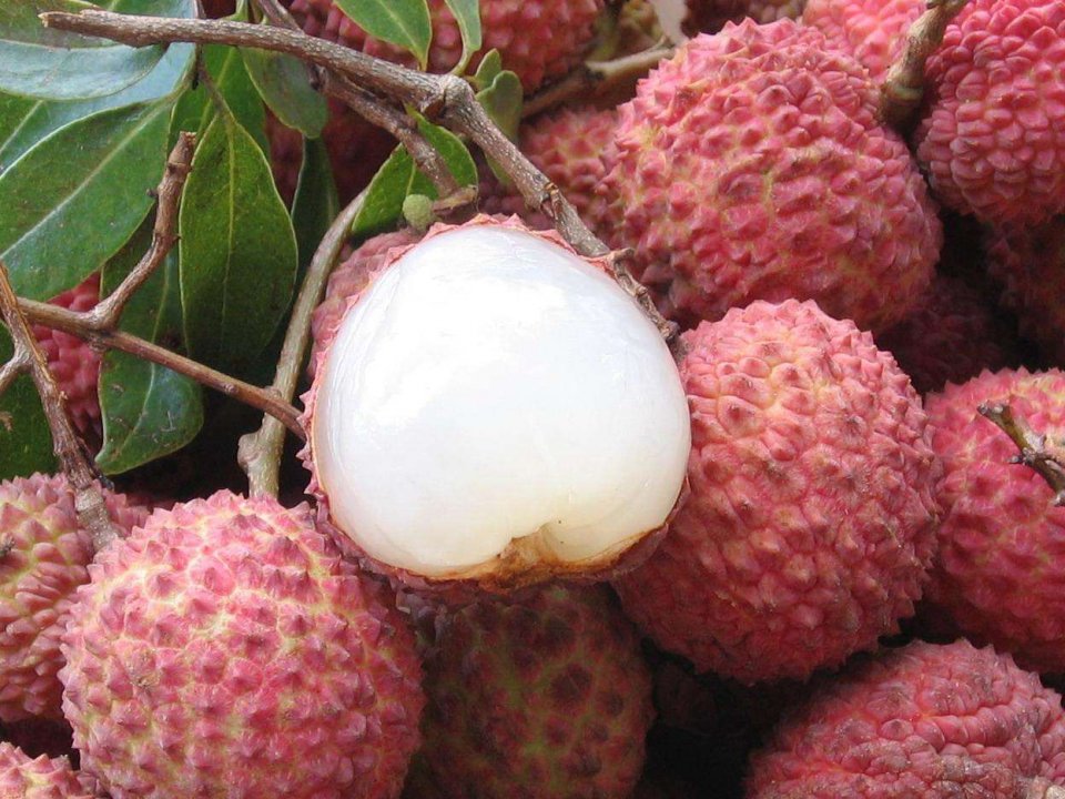 夏季好吃水果多,这些可别给宝宝乱吃哦