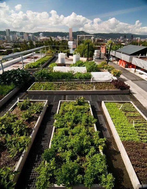 花园种植容器选择你确定这里没你想要的风格