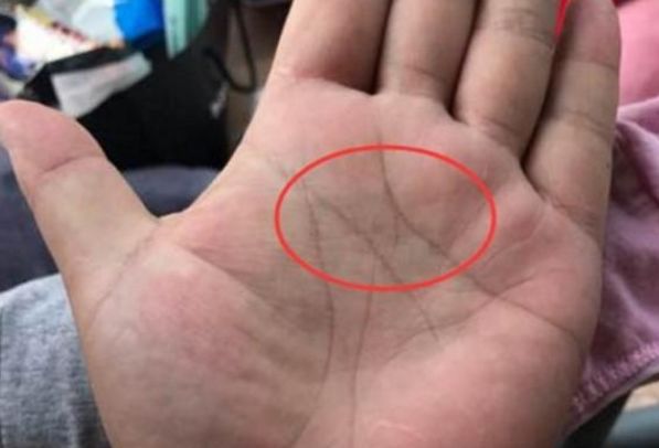 不会受失业之苦,可从事业线看出一此端倪来,首先从手相的流年来看,从