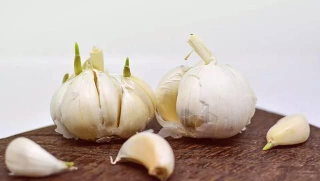 糖蒜头加点醋,在增加口感的同时,更增强了抑菌,杀毒的效果,最后成为