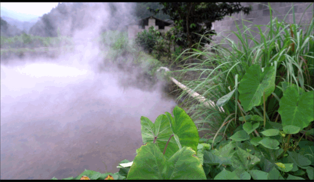 640_371gif 动态图 动图