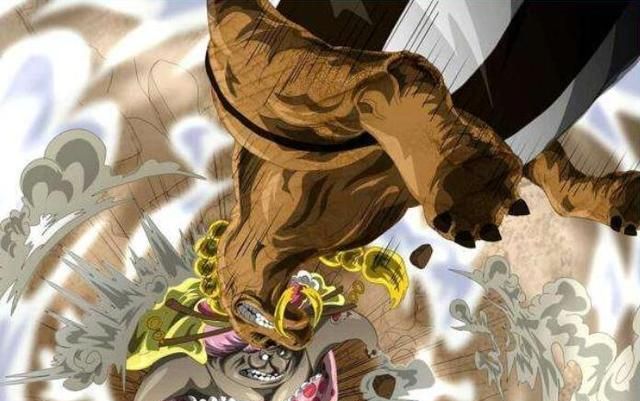 海贼王sbs:奎因被尾田针对,本可加入草帽团,现在结局很惨