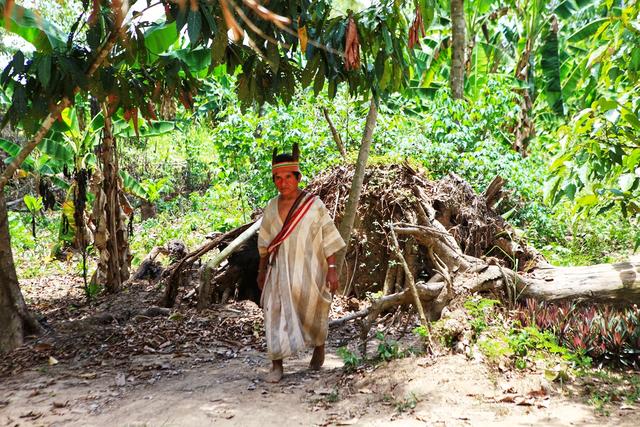 被文明抛弃的亚马逊丛林原住民500年前的种族灭绝会再现吗