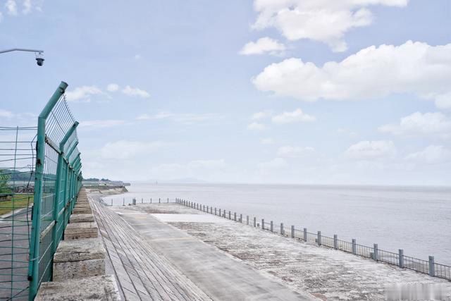 浙江钱塘江畔最美林荫道海宁大缺口免费观潮