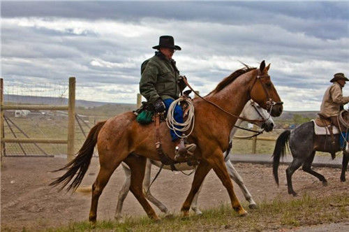 美国第一神枪手,正面单挑百人没输过,仅一次背对敌人就丢了性命