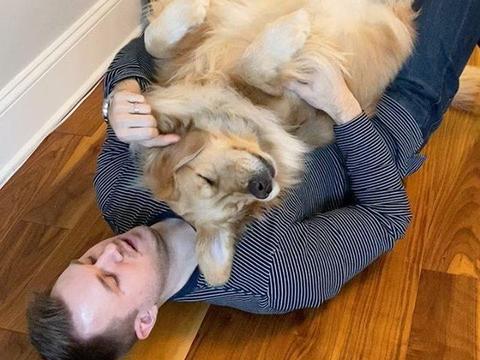 猫咪趴主人身上,80斤狗狗看了超嫉妒:走开让我来