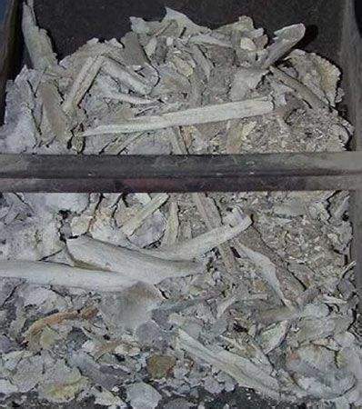 镜头记录全过程|骨灰|骨头|逝者_新浪新闻