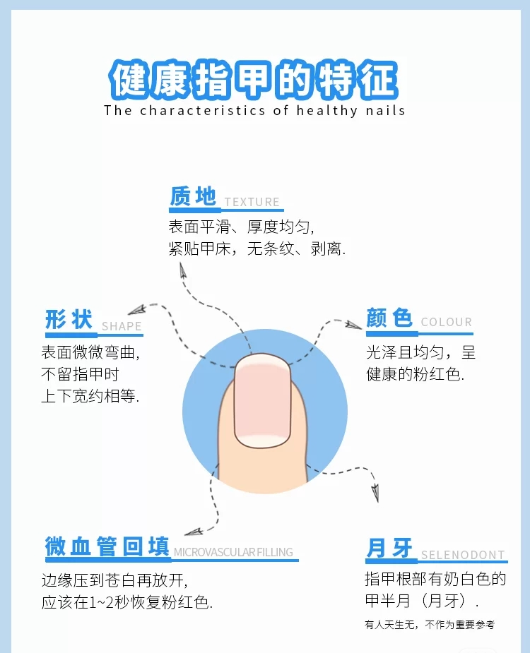 健康指甲具有哪些特征?